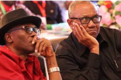 Falana Writes INEC, Warns Against Recognising Peter Obi Ally, Abure As Labour Party National Chairman