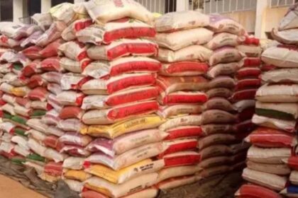 Planned Protest: Mixed Reactions Trail FG Distributes 50kg Bags of Rice to Be Sold At N40,000 Nationwide