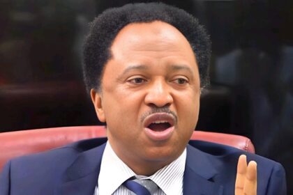 What Kind Of People Are The Chinese, I Still Wonder Why They Aren't Closing Down Their Businesses In Nigeria. - Shehu Sani
