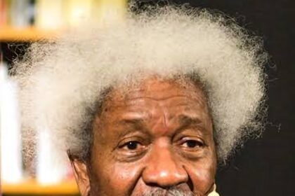 Wole Soyinka: The Man, The Writer, The Enigma