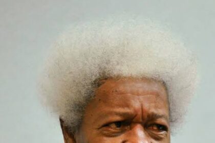 Wole Soyinka: The Man, The Writer, The Enigma