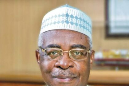 TY Danjuma Buys Jite Okoloko’s Fertiliser Company, Notore , For $150m