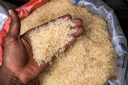 Dealers Quote New Price for Imported Rice as FG Delays Duty-Free Import Policy; Details Emerge